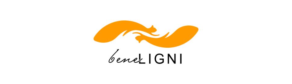 beneLIGNI-profile-background-image