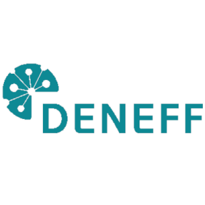 Iniciativa Empresarial Alemã de Eficiência Energética e.V. (DENEFF)