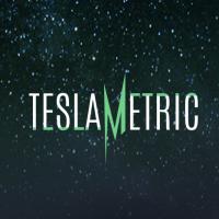 teslametric.com