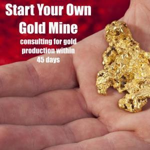 Start Your Own Gold Mine