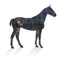 Project CH teammember of CryptoHorse
