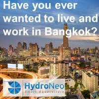 (Sênior) Desenvolvedor de software - oportunidade de viver e trabalhar em Bangkok