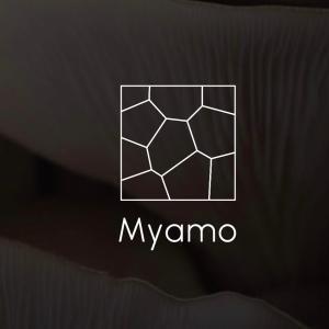 Myamo Acoustic