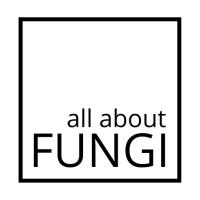 all about FUNGI GmbH