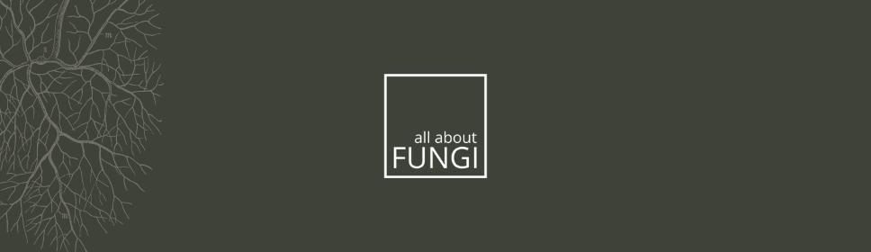 all about FUNGI GmbH-profile-background-image